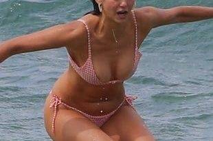 Nina Dobrev Bikini Beach Tits And Ass Pics on adultfans.net