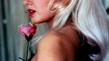 Mamie Van Doren Nude on adultfans.net