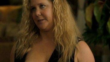 Amy Schumer Nude Scene In Snatched Movie 13 FREE VIDEO on adultfans.net