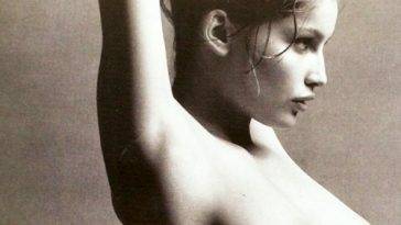 Actress Laetitia Casta Nude Pics Collection on adultfans.net