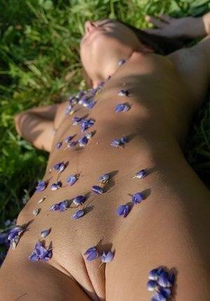 Completely naked teen Nikki D covers herself with petals from wildflowers on adultfans.net