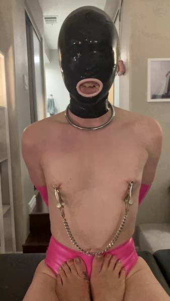 Mistress Damazonia damazonia_ i_love_to_use_my_wife_as_an_object._just_a_latex_doll_hole_to_use_for_my_pleasure_and_ente onlyfans xxx porn on adultfans.net