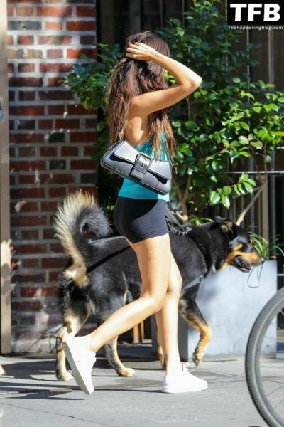 Leggy Emily Ratajkowski Takes Her Dog For a Stroll in New York City on adultfans.net