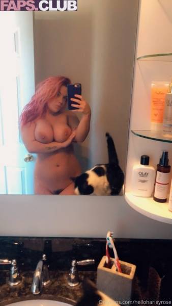 Helloharleyrose Nude OnlyFans Leaks (31 Photos) on adultfans.net