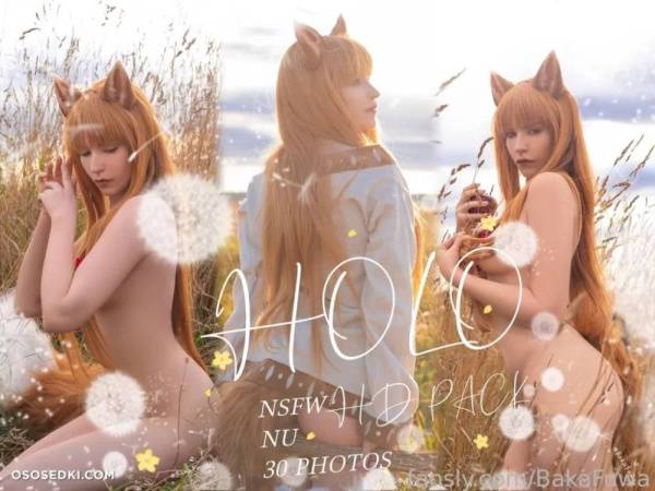 Baka Fuwa – Holo – Spice And Wolf | Ookami To Koushinryou on adultfans.net