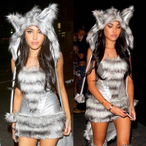 Madison Beer Halloween Candids Big Bad Wolf Cosplay Set Leaked - Usa - Madison on adultfans.net