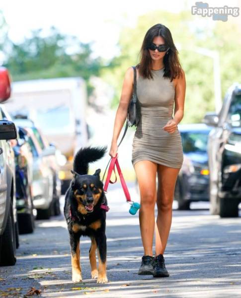 Emily Ratajkowski Looks Hot in a Mini Dress While Walking Her Dog in NYC (32 Photos) on adultfans.net