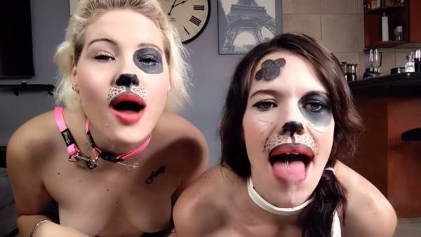 Blonde and brunette in dog masks tease in the kitchen with collars and tongues out on adultfans.net