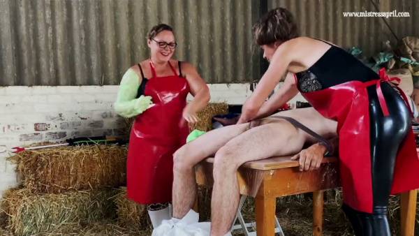 Dominatrix April puts her restrained male sub through intense electro and cock torture - Germany on adultfans.net