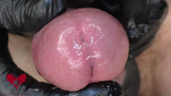 Close-up fetish session with latex gloves on pierced cock and ass on adultfans.net