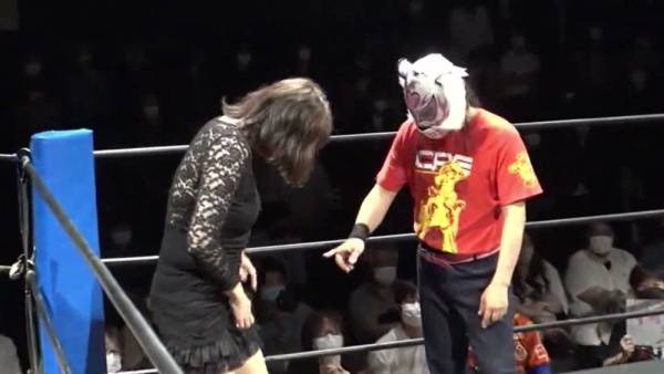 Japanese striptease wrestling match with stockings and small-titted performers - Japan on adultfans.net
