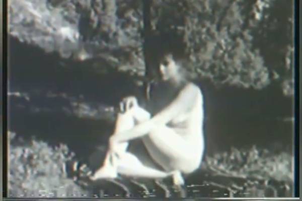 Retro Swedish naturists embrace in sunlit forest clearings - Sweden on adultfans.net