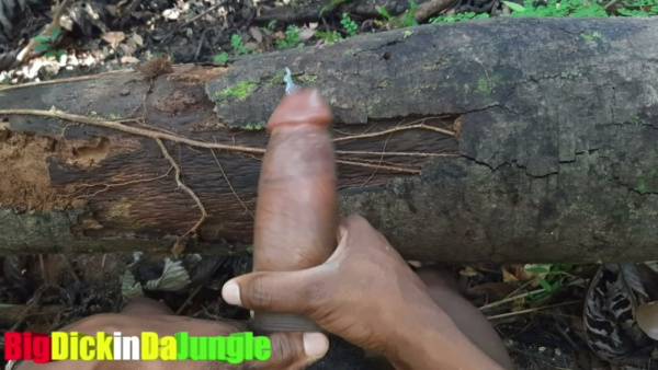 Dark-skinned man strokes his thick uncircumcised cock in the forest until climax on adultfans.net
