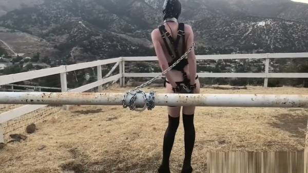 Solo pony play session in leather mask and harness out in the countryside on adultfans.net