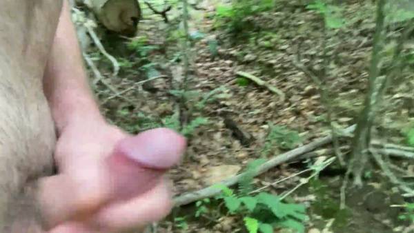 Solo male masturbation in the forest ends with cumshot by the river on adultfans.net